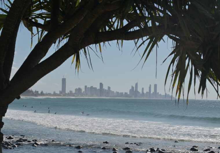 SDA on the Gold coast - Looking through the trees towards surfers